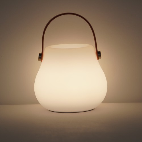 NF505 PE Table Lamp