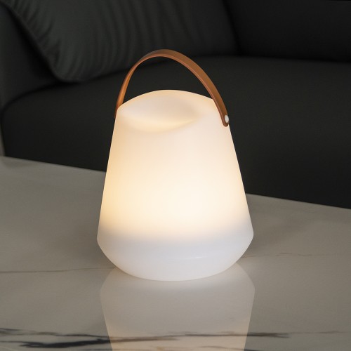 NF506 PE Table Lamp