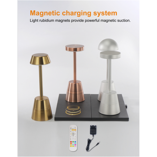 2 Ports Magnetic Charging Base